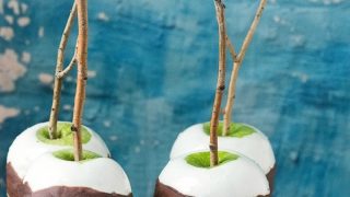 Double Dipped S'Mores Apples on a Stick